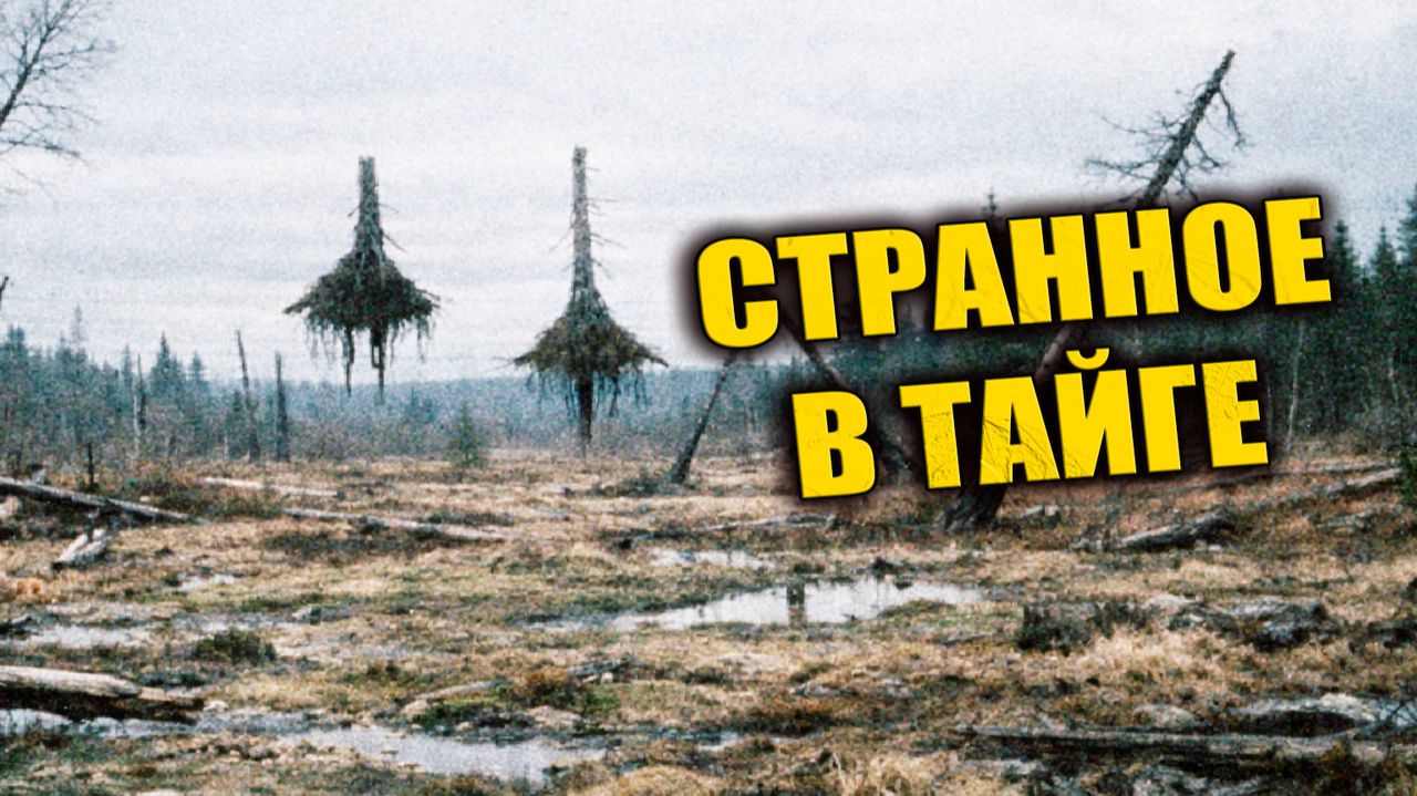 В 1959 году в районе Тунгуски обнаружили участок тайги с нарушенной гравитацией смотреть онлайн