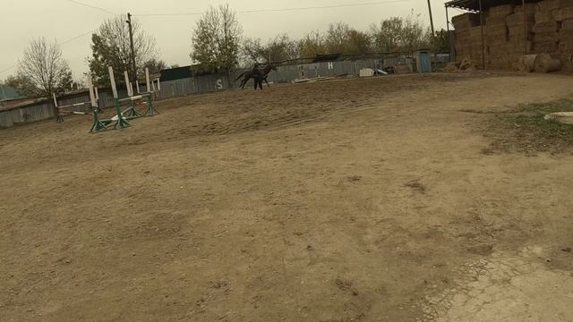 Конный клуб ст.Роговская смотреть онлайн