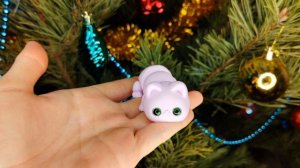 Котик очень милый 😍 Смотри, хочешь себе такого?