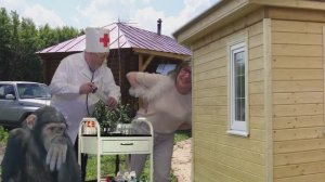 "Курочка Ряба из Красновидово"