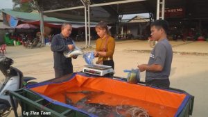 Рыбу ловили сетями и перевозили на запряжённых лошадьми повозках, чтобы продать на рынке.