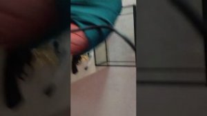 заходите на обзоры