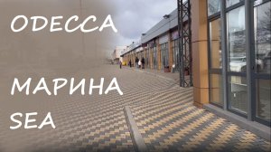 Что случилось с морем в Одессе? Катастрофа на пляже! В продолжение темы от МАРИНА SEA от 24.12.2025