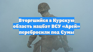 Вторгшийся в Курскую область нацбат ВСУ «Арей» перебросили под Сумы