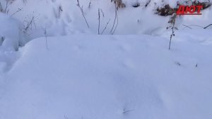 Одиночное катание.