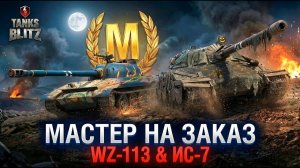 ИМБА ПРОШЛОГО - WZ 113 на мастера TANKS BLITZ