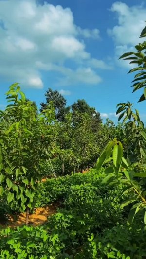 2026-01-02T05:24:35.071Z