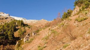 Челлендж "Пройти в Архызе 100км с набором 5000м за 6 дней"
День третий 2 ноября 2025г.