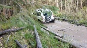 Покорение Фина