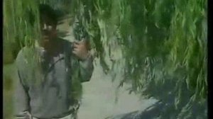 ВИА Гульшан.чашми сиех.