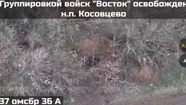 Гвардейцы 37 бригады 36 армии ГВ «Восток» вышли на высоты западнее р.Гайчур освободили Косовцево🇷🇺 смотреть онлайн