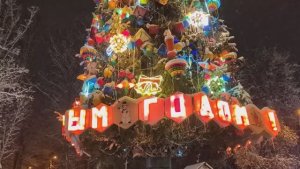 Ёлки Новомосковска 2026