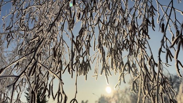 . 🎼. ♫..Mireille Mathieu feat. Julio Iglesias - "La Tendresse", (Нежность) (live) смотреть онлайн