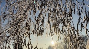 . 🎼. ♫..Mireille Mathieu feat. Julio Iglesias - "La Tendresse", (Нежность) (live)