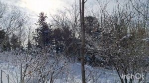 Дома не сиделось