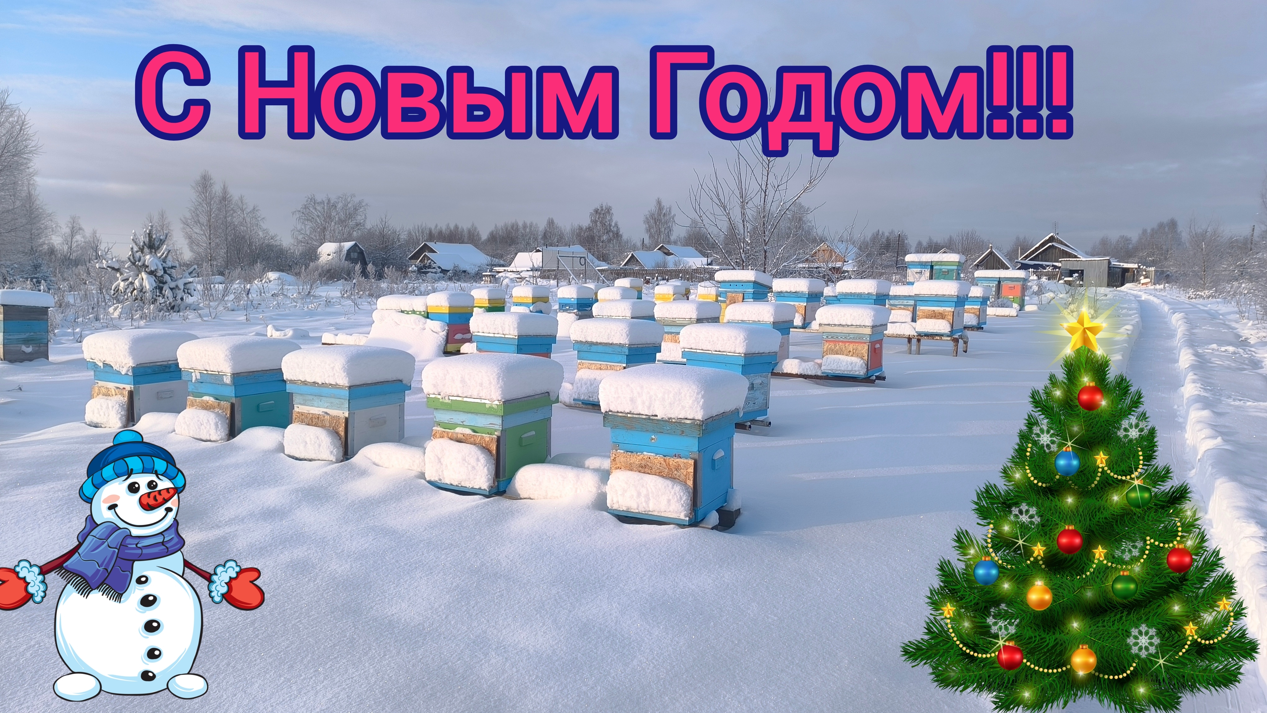 Пасека 2 января. Без слов, чтобы не разбудить пчёл. Пчеловодство! смотреть онлайн