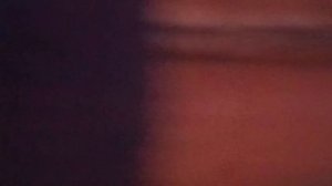 AUCQ2742 домик Симочки 01.01.2025 Видео от опекуна Светланы