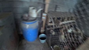 Влог от 26.12.2021