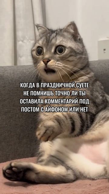 😆 смотреть онлайн