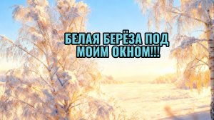 Белая берёза под моим окном!!!