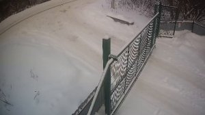 LIVE: channel74055310