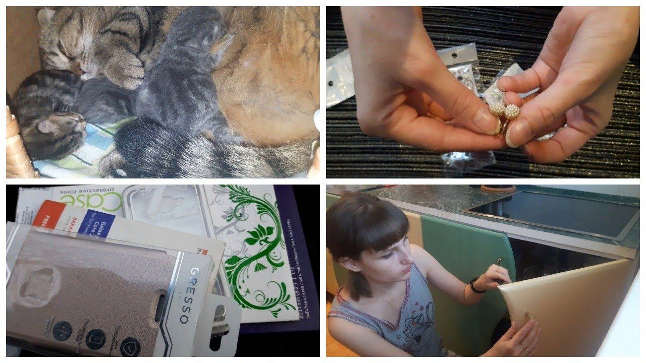 Vlog. Переделка кухни\ Акция связной\ Роды кошки\ Посылки с али смотреть онлайн