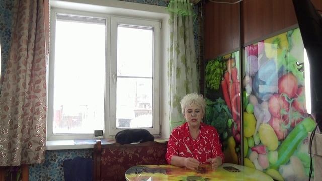 Когда сеять Томатных Гномов? Отвечаю на вопрос зрителей. 2 января 2026 года. смотреть онлайн