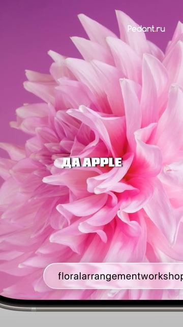 😱Вышла iOS 26.2! ЛУЧШИЕ Фишки🫠 смотреть онлайн