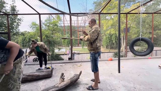 Мы оставили Люсю в вольере с малышами на ночь и утром с Владом бежим посмотреть как они все там смотреть онлайн