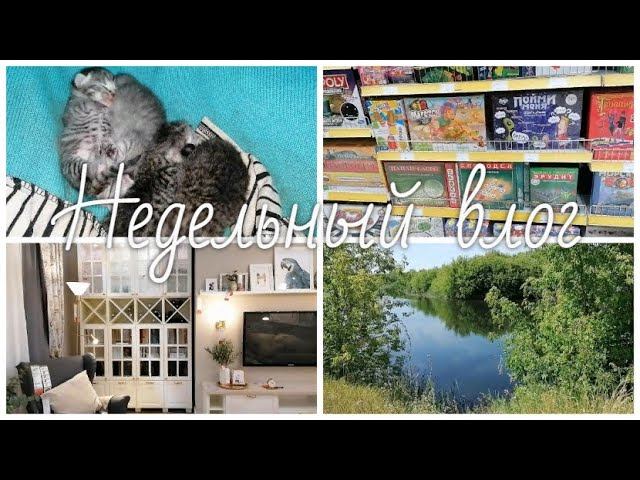Недельный vlog. Икея. Новая настольная ира. Природа. Наш отпуск. ☘ смотреть онлайн