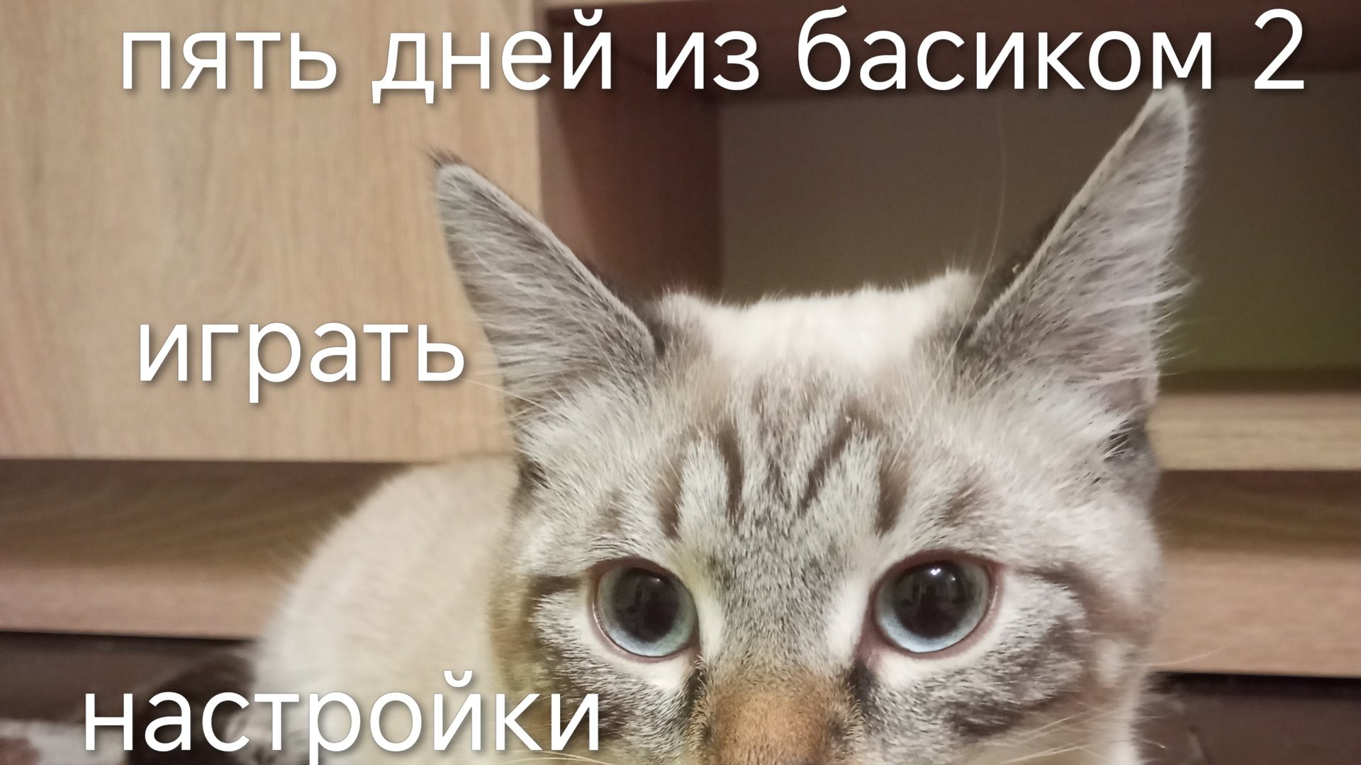 пять ночей с басиком 2 ( первый день) на самом деле я устал и это часть уже будет самый последней смотреть онлайн