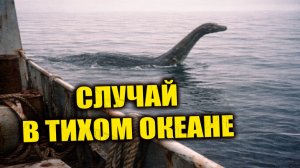 В 1981 году в Тихом океане экипаж советского научного судна зафиксировал всплытие странного существа