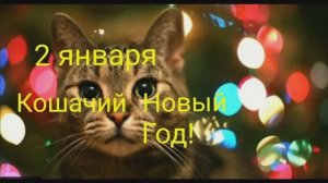 СЕГОДНЯ КОШАЧИЙ НОВЫЙ ГОД!ПОЗДРАВИМ НАШИХ ЛЮБИМЧИКОВ!