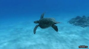 Каузальное тело. Медитации. День 2