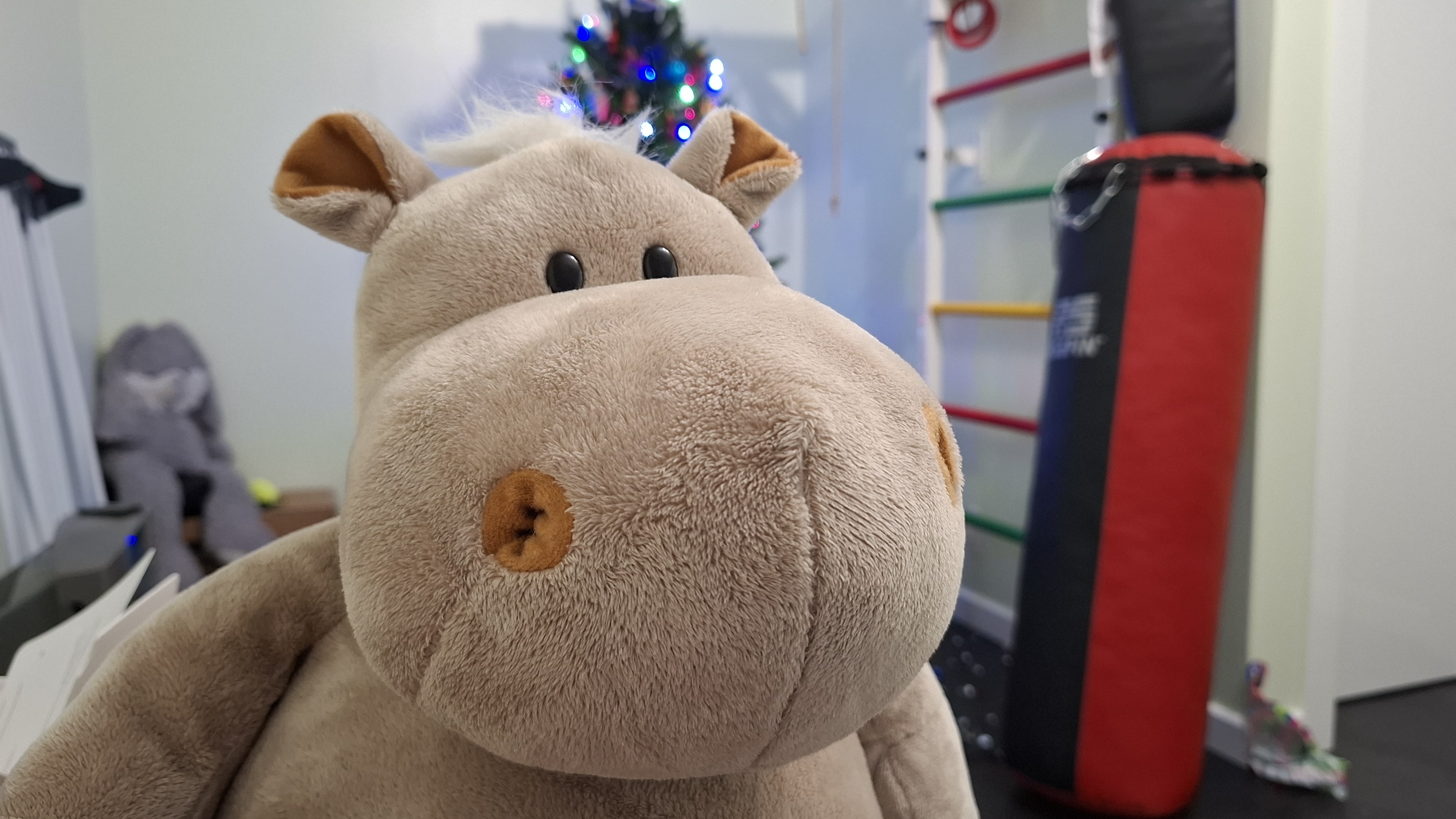 Новогоднии истории про бегемота Мотю, от Алисы смотреть онлайн