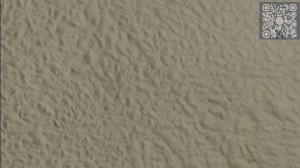 Красивая девушка на пляже.Загорает .