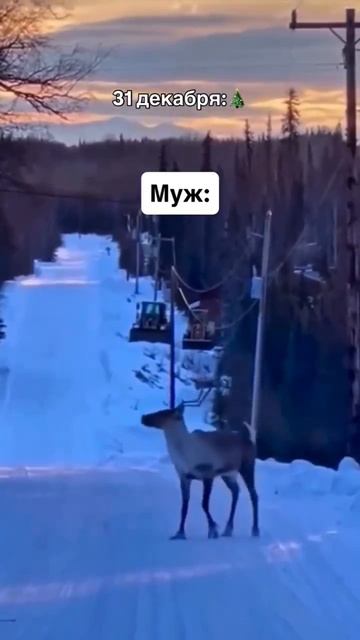 у каждого было! 😂 смотреть онлайн