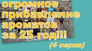 СКОЛЬКО ПОЯВИЛОСЬ АРОМАТОВ В 2025 году (4 СЕРИЯ)