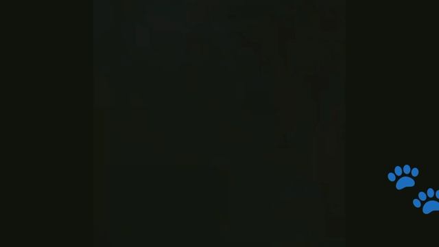 во как смотреть онлайн