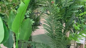 Как вы относитесь к искусственным цветам.