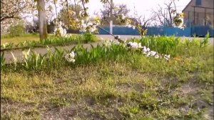 Охримовка - 10.