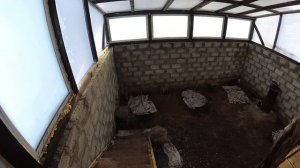 Подземные теплицы в январе