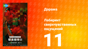 Лабиринт сверхчувственных ощущений 11 серия