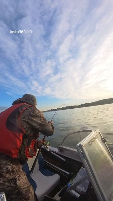 Рыбалка на окуня с Андреем на ОВХ смотреть онлайн