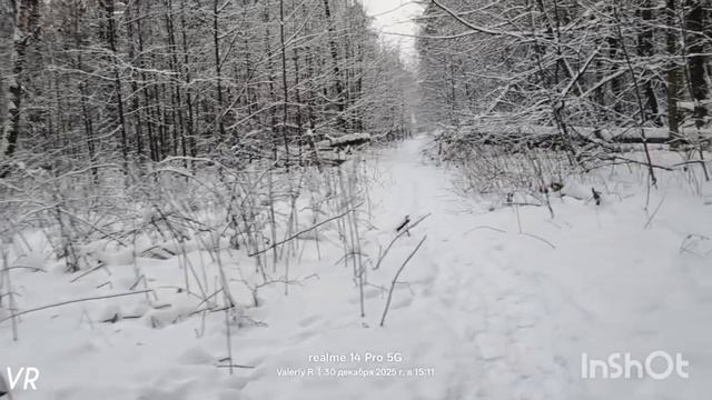 Прогулка в лесопарке #75 30.12.2025 смотреть онлайн