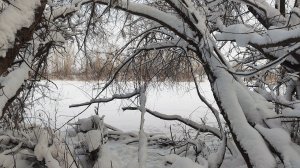 Открытие зимних рыбалок 2026 год. Классный отдых на природе. Посиделки у костра.