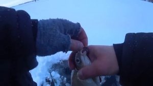 За ЛЕЩЁМ по тонкому льду! Зимняя рыбалка 2026! Рыбалка в Рязанской области на ОКЕ!