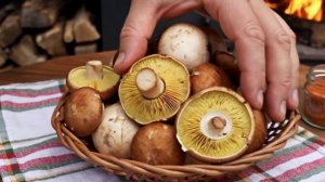 Грибная икра. Рецепт внутри. Подписался? Читай, смотри!