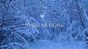 2025_12_31_ЛУННАЯ НОЧЬ — 4K60H