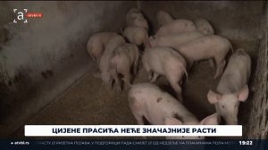 Колика ће бити цијена прасића за Божић?